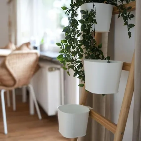 Boho Stil Wohnung Mit Flussblick Nahe Stadtzentrum Koblenz  Eksteriør billede