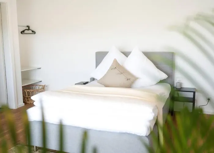 Boho Stil Wohnung Mit Flussblick Nahe Stadtzentrum