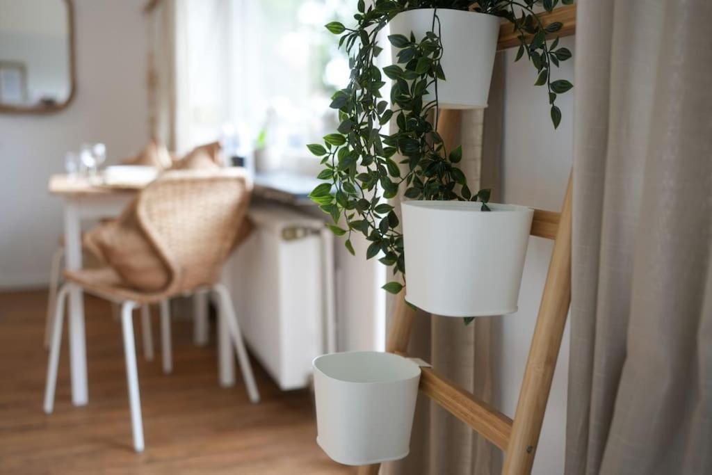 Boho Stil Mit Flussblick Nahe Stadtzentrum Apartment *