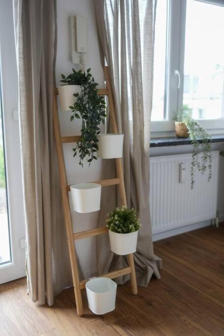 Boho Stil Mit Flussblick Nahe Stadtzentrum *