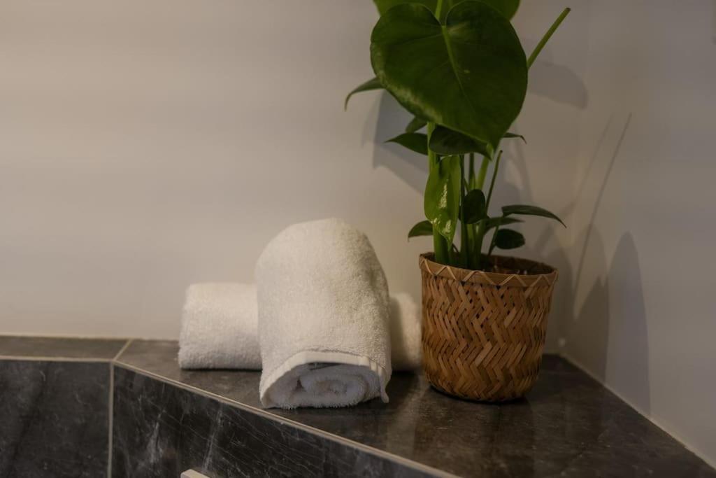 Boho Stil Mit Flussblick Nahe Stadtzentrum Apartment Koblenz (Rhineland-Palatinate)